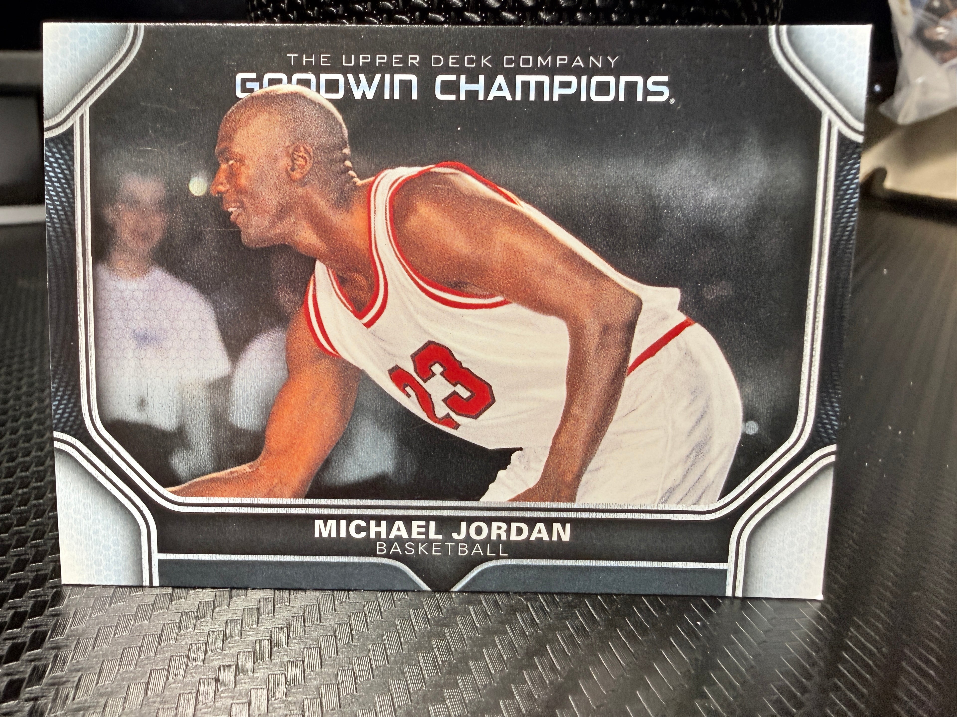Goodwin Champions Michael Jordan — Chicago Bulls